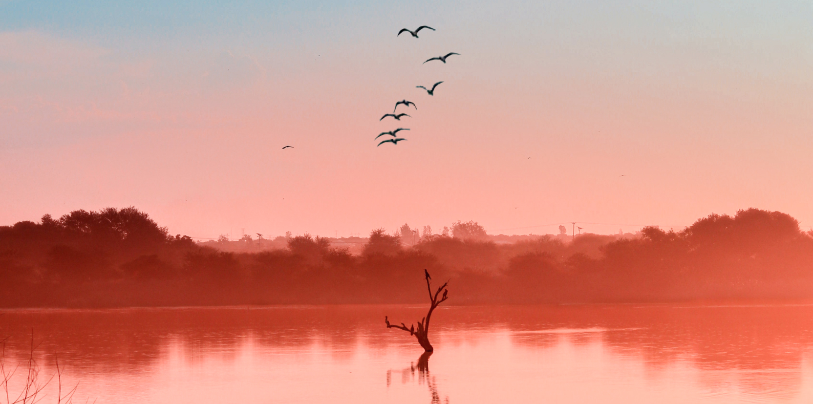 Advantas Real Estate